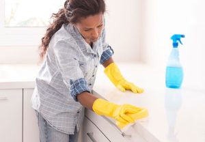 House Cleaners