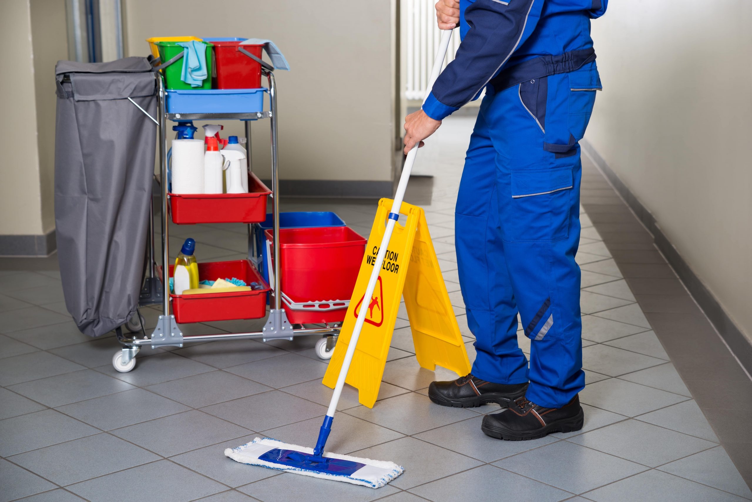 cleaners Surry Hills